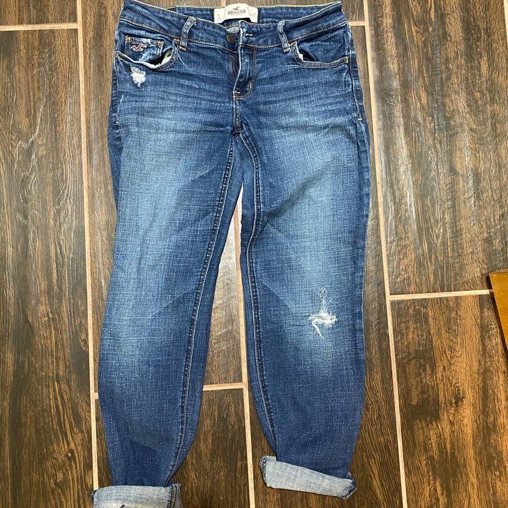 Hollister crop
